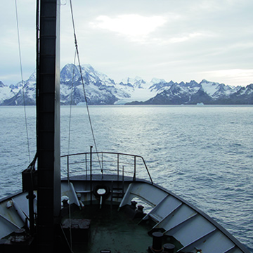 Expedición a las islas Georgias del Sur. En busca del Pez de Hielo